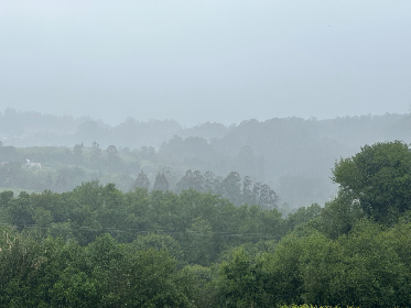 火影忍者本子在线无删减：探索忍者世界的激情与冒险之旅