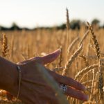 火花视频:点燃创意灵感的视觉盛宴与分享平台 4d45z5h97g