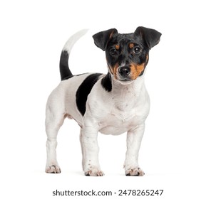 火哥分享旅游攻略：探索未知的美丽目的地