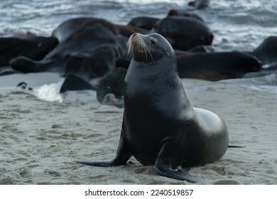 畅游日本漫画在线世界，尽享无限精彩