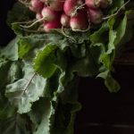 畅游樱花动漫官网官方入口,尽享精彩动漫世界 y6vh50a7