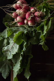 畅游樱花动漫官网官方入口，尽享精彩动漫世界
